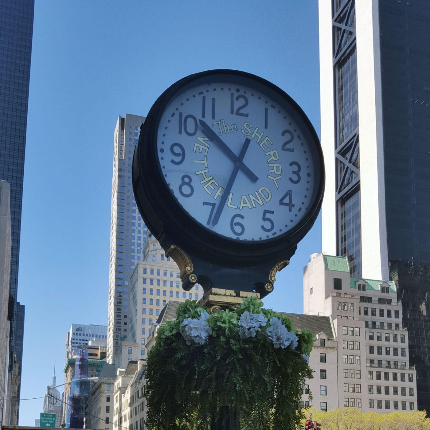 The Sherry Netherland Hotel Sidewalk Clock image