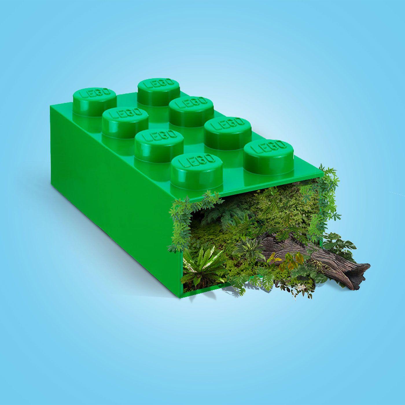 slider - Slide 1